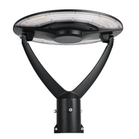 60W 80W 100W Architectural LED Post Top Light 3000K 4000K 5000K Selectable, 100-277V